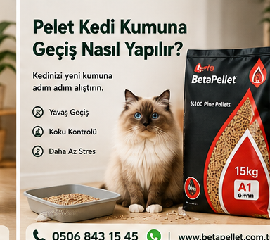 Kediyi pelet kedi kumuna kademeli alıştırma sürecini anlatan rehber görseli